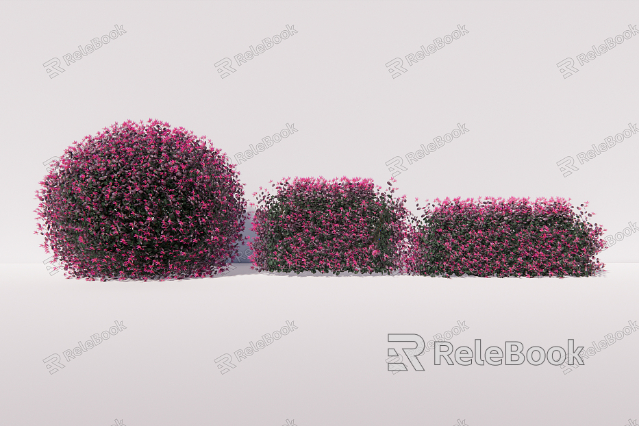 Modern shrub Cardigan Loropus chinensis shrub ball hedgerow model