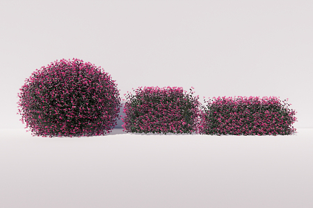 Modern shrub Cardigan Loropus chinensis shrub ball hedgerow 3d model