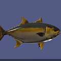 Aquatic Animal Tuna Fish With Yellow Fins Black Yellow Stripes Swimming In Blue Underwater Scene