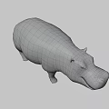 Realistic 3D Hippo Model With Open Mouth And Gray Body Features