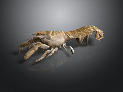 Aquatic Animal Lobster with Brown Shell Large Claws and Long Antennae in 3D Model 3d model