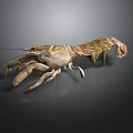 Aquatic Animal Lobster with Brown Shell Large Claws and Long Antennae in 3D Model