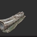 Tree Trunk Cross Section With Visible Growth Rings And Bark Texture On Grass Base 3d model