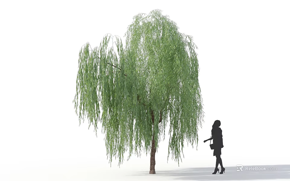 Weeping Willow Tree With Silhouette Of Woman Standing Beside In Dress High Heels And Handbag 3d model 