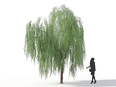 Weeping Willow Tree With Silhouette Of Woman Standing Beside In Dress High Heels And Handbag 3d model