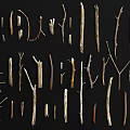Various Sizes and Shapes of Natural Wooden Branches on Black Background