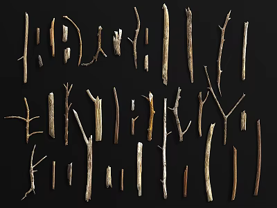 Modern branch wood trunk wood firewood sticks 3d model