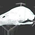 Detailed Animal Skull Structure With Natural Brown Texture Exposed Internal Cavities And Fossilized Features
