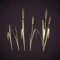 Golden Wheat Ears And Green Grass Standing On Dark Background Scene