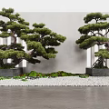 Unique Shaped Trees in Square Black Planters Against Gray Wall With White Pebbles Green Plants