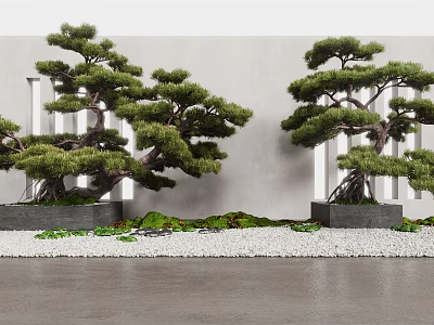Unique Shaped Trees in Square Black Planters Against Gray Wall With White Pebbles Green Plants 3d model