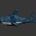 Soft Blue Shark Plush Stuffed Toy With White Belly And Sharp Teeth