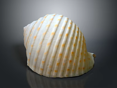Marine animal with white spiral shell featuring yellow spots and stripes on dark background 3d model