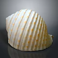 Marine animal with white spiral shell featuring yellow spots and stripes on dark background