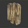 Fossilized Molar Teeth With Brown Beige Textured Surface And Multiple Roots