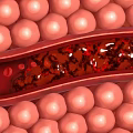 Game Movie Sci Fi Character Detailed Internal Structure With Red Blood Cells And Blood Vessels