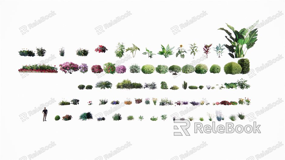 Modern Shrub Landscape Shrubs model