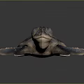 Modern Turtle Small Turtle Green Turtle Big Turtle Black Turtle 3d model