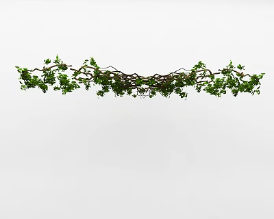 Lush Green Decorative Vines With Curved Branches And Fresh Leaves 3d model
