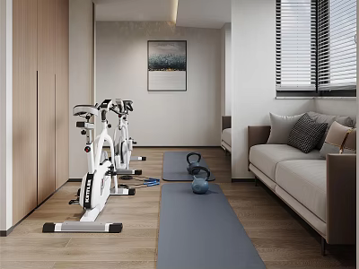 Modern Rec Room With Exercise Bikes Yoga Mats Sofa And Wall Art 3d model