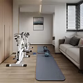 Modern Rec Room With Exercise Bikes Yoga Mats Sofa And Wall Art