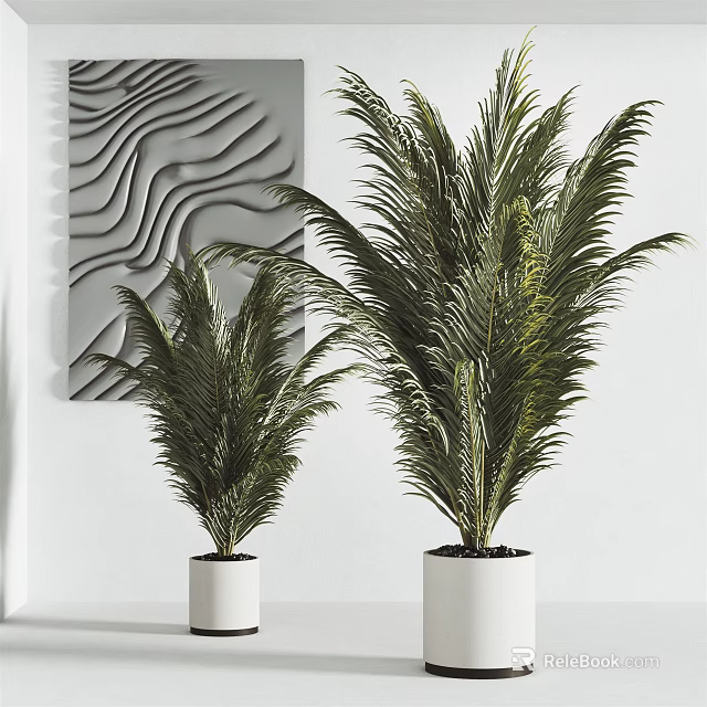 Indoor Potted Palm Plants In White Pots With Modern Wall Decor 3d model 