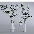 White Vases Holding Green Leafy Branches and Small Plant on Gray Surface 3d model
