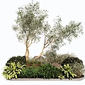 Elegant Garden Landscape Featuring Lush Shrubs Green Plants And Natural Stones
