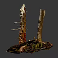Natural Wooden Logs On Textured Stone Base With Red Brown And Green Mossy Accents