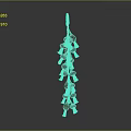 Fresh Ripe Red Berries on Green Stem Strand Against Gray Background