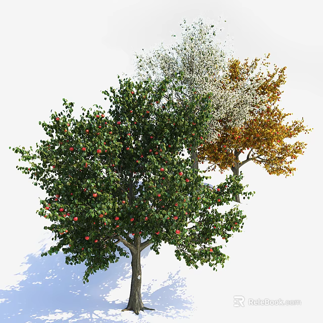 Three Arbor Trees With Green Leaves Red Fruits White Blossoms And Orange Yellow Leaves 3d model 