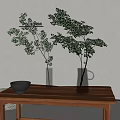 Transparent Glass Vases with Green Leafy Branches on Wooden Table and Black Bowl