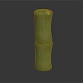 Green Cylindrical Bamboo Stem With Jointed Structure And Natural Texture On Dark Background