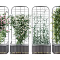 Vine Plants of Various Types Growing on Metal Grid Trellis with Live Good Times Base