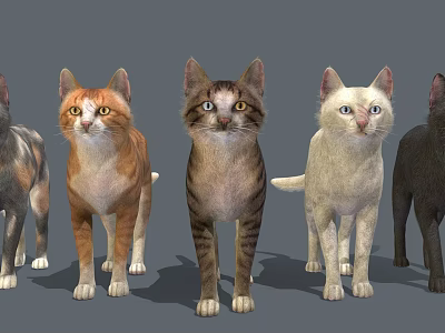 Five Different Colored Cats Standing With Shadows On Gray Background 3d model