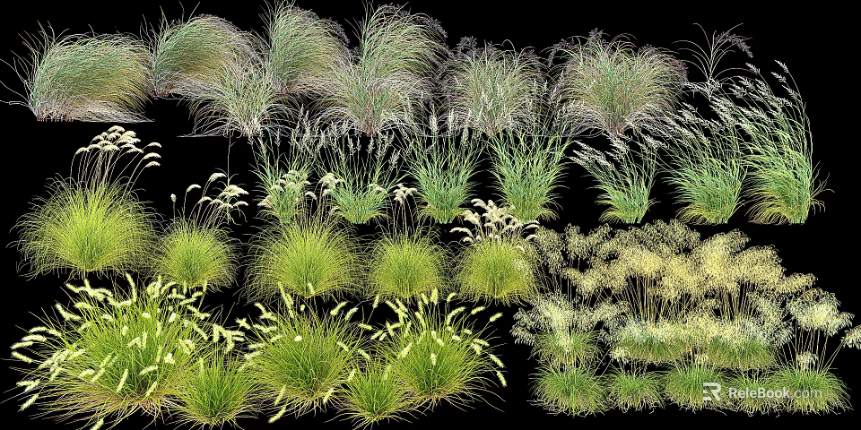 Diverse Ornamental Grasses With Various Heights Colors And Textures On Black Background 3d model 