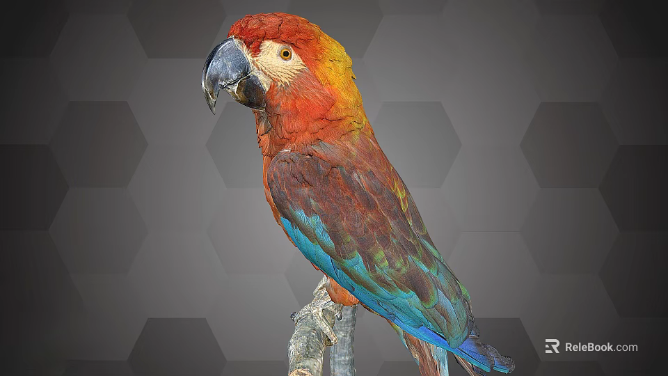 Vibrant Colorful Parrot Perched On Branch Against Hexagonal Gray Pattern Background 3d model 