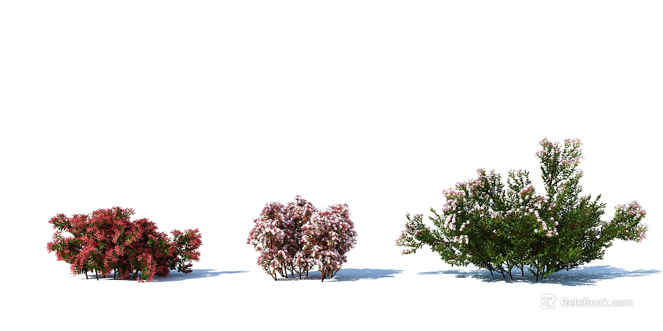 Colorful Flowering Shrubs With Red Pink and White Blooms For Garden Landscaping 3d model 