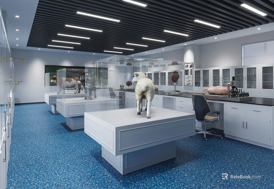 Modern Laboratory Interior With Lab Tables Equipment Specimen Models And Ceiling Lights 3d model 