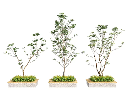 Tree Planter With Small Trees And Green Plants In Concrete Base 3d model