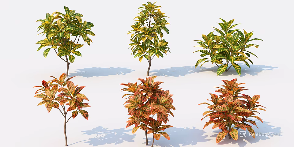 Colorful Garden Shrubs With Variegated Leaves In Green Yellow And Red 3d model 