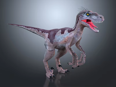 Modern dinosaurs, Velociraptor, Jurassic 3d model Modern dinosaurs, Velociraptor, Jurassic 3d model