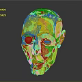 Colorful Human Head Model Showing Anatomical Facial Sections For Educational Use