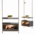 Modern Fireplace Design with Shelves Books and Green Plant and Burning Flames