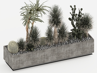 Bonsai Cactus Ball model