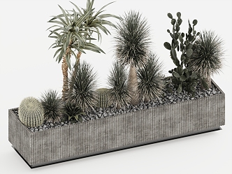 Bonsai Cactus Ball 3d model