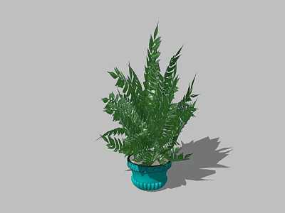 potted plant 3d model potted plant 3d model
