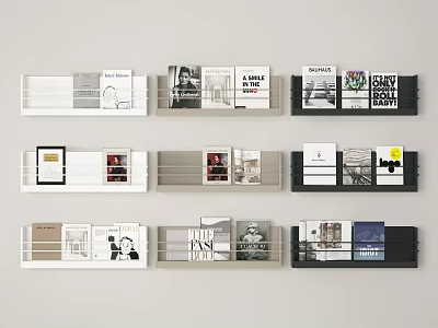 Modern Books Magazines Collection Display On Various Shelves With Different Cover Designs 3d model