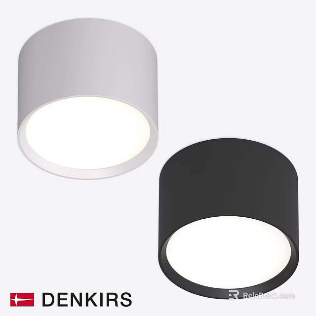 Modern Cylindrical Ceiling Lights in White and Black for Contemporary Spaces 3d model 