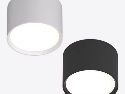 Modern Cylindrical Ceiling Lights in White and Black for Contemporary Spaces 3d model